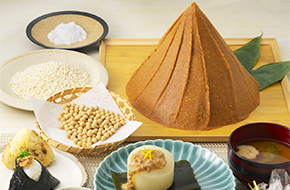 ¼êºî¤êÌ£Á¹¹ÖºÂ