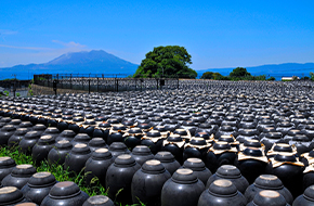 鹿児島 特産物を味わい尽くす プレミアム食材単発講座 第1弾 坂元醸造の黒酢